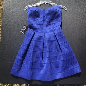 Express royal/cobalt blue dress size M, NWT!